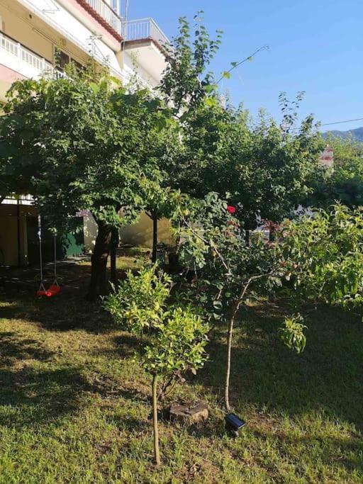 Evangelias House! Stavros  Exterior photo